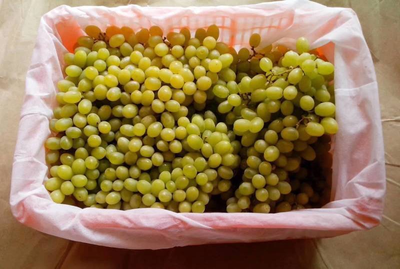 无纺布水果筐内衬袋，葡萄托，现货供应，特殊型号可定做
