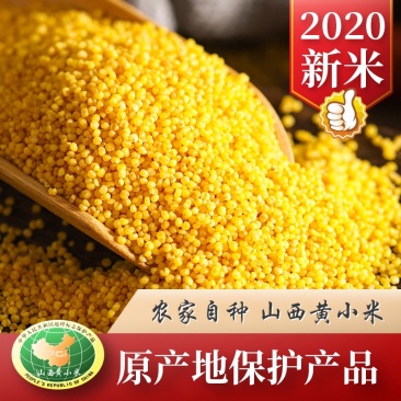 山西黄小米今年新米小米批发