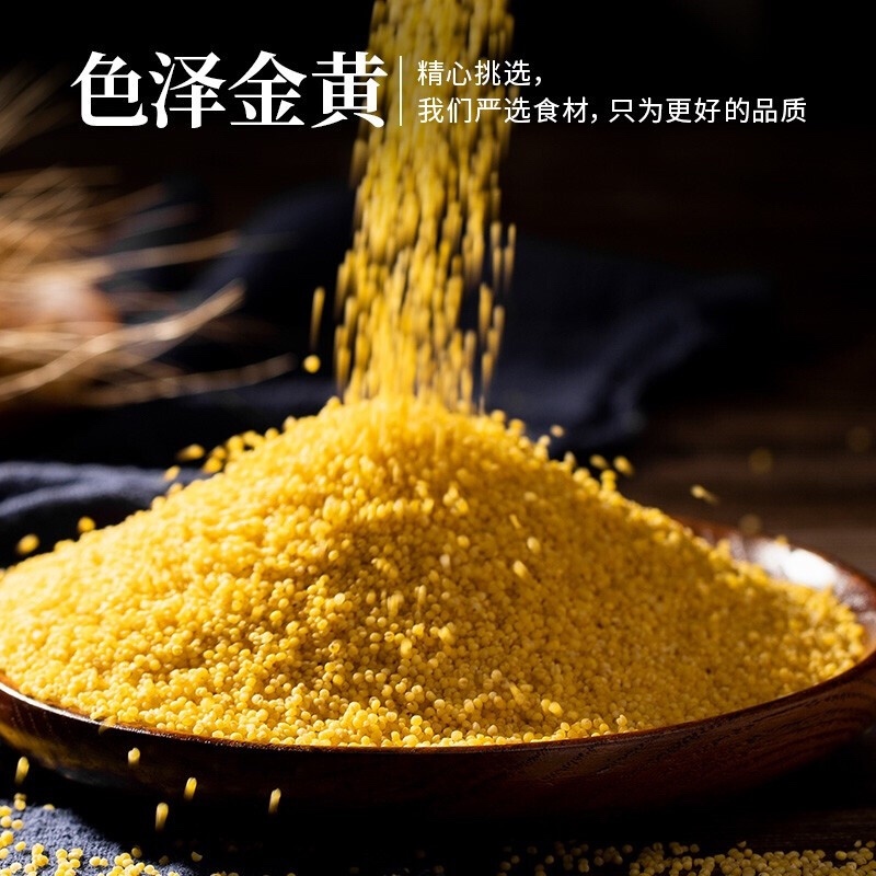 山西黄小米今年新米小米批发
