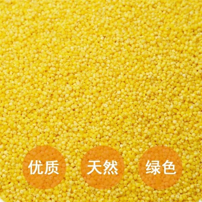 山西黄小米今年新米小米批发