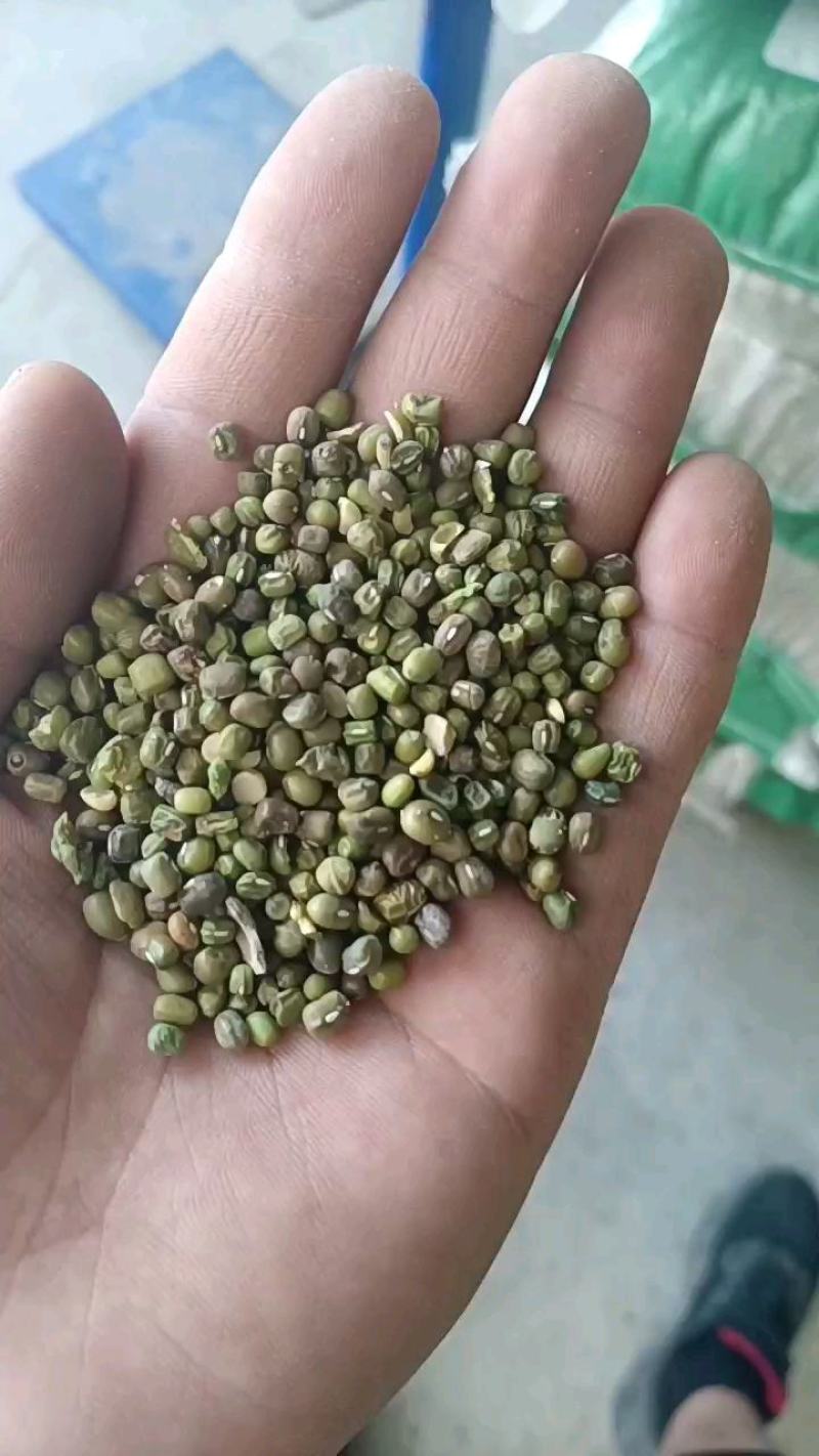 杂绿豆，绿豆，芽豆，各种绿豆
