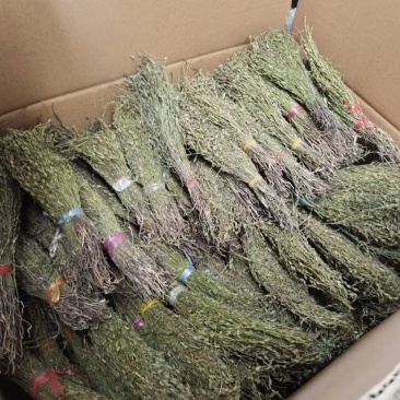 独脚金疳积草五寸柑大批量出货供药厂一手货源