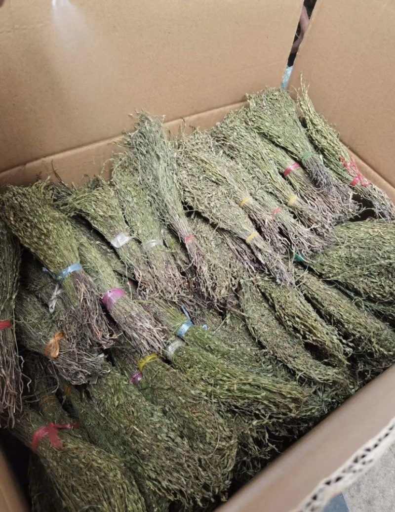 独脚金疳积草五寸柑大批量出货供药厂一手货源