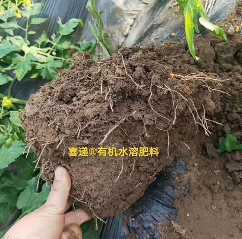 喜递_水剂有机水溶肥料/壮根/养土/生物有机肥。