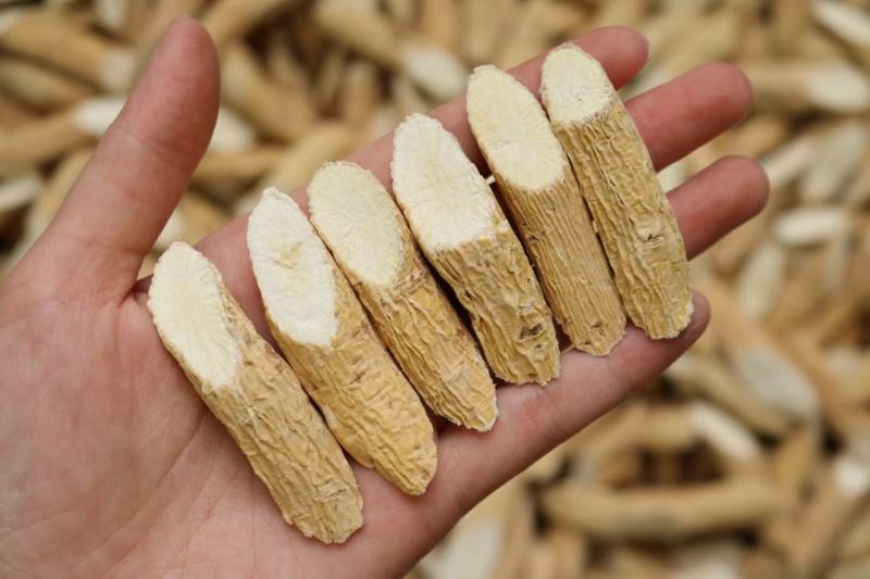 牛大力野生牛大力中药材粉质正宗新鲜农家干货金钟根500g