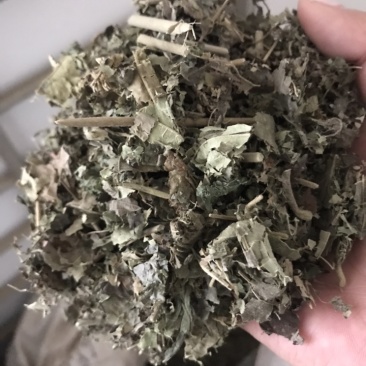 芙蓉叶木芙蓉保庆药业批发芙蓉叶实物拍摄
