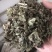 芙蓉叶木芙蓉保庆药业批发芙蓉叶实物拍摄