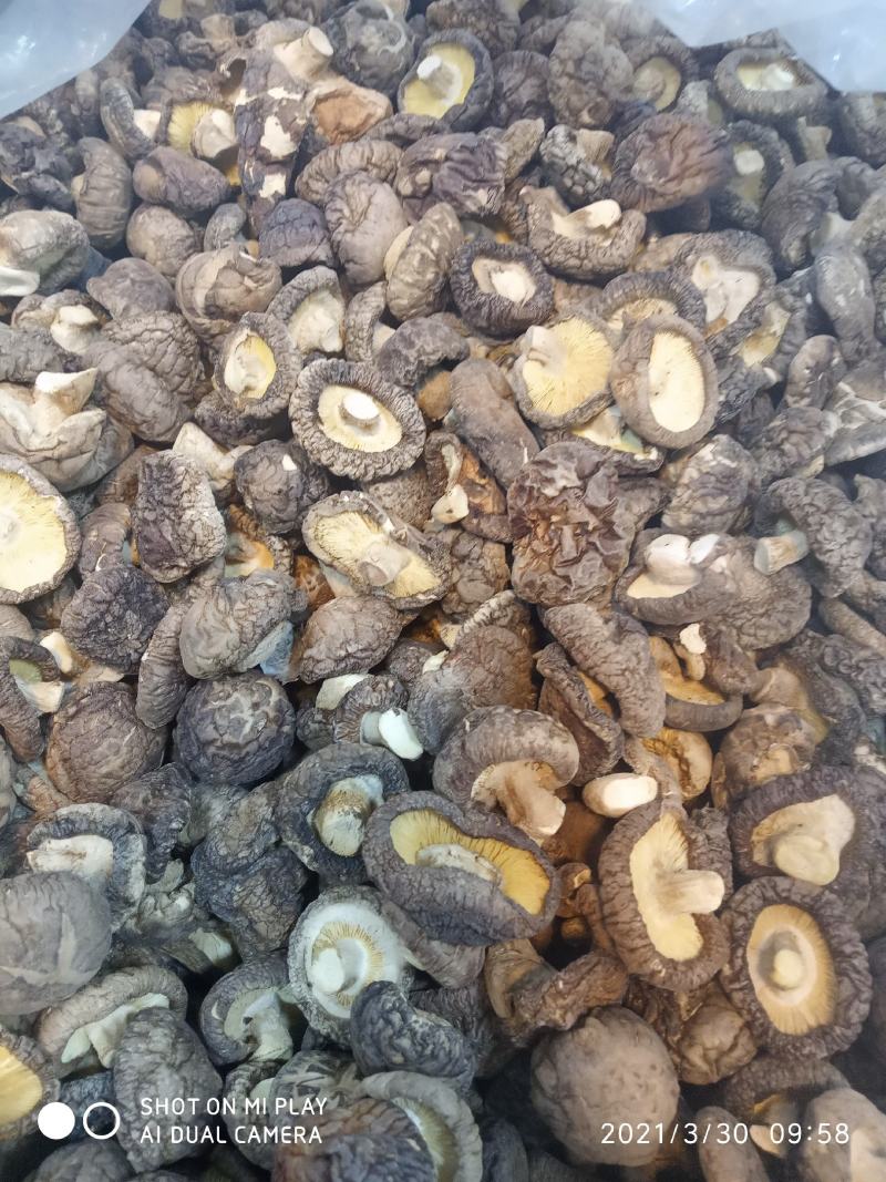 香菇低价位，好菇加工
