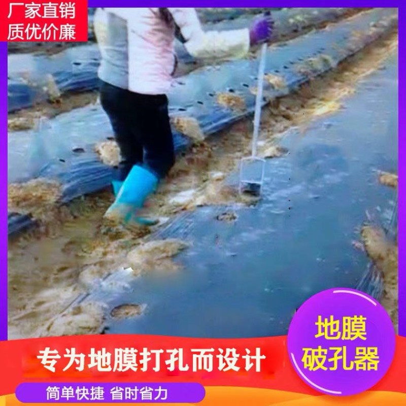 地膜打孔器打洞神器破膜器种植戳膜大棚扎眼器农具打眼农用工