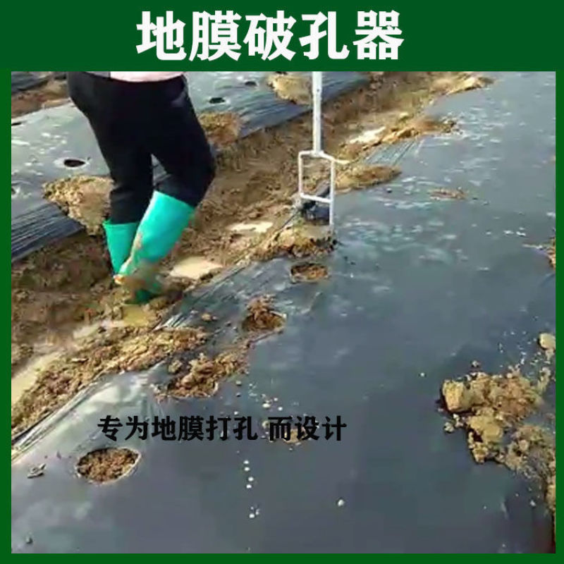 地膜打孔器打洞神器破膜器种植戳膜大棚扎眼器农具打眼农用工