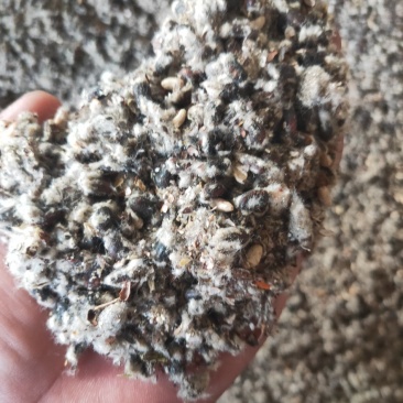 【优质好货】棉籽壳新疆棉饼棉籽棉粕压缩包棉渣棉花付产品