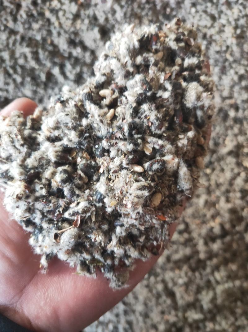 【优质好货】棉籽壳新疆棉饼棉籽棉粕压缩包棉渣棉花付产品