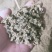 【优质好货】棉籽壳新疆棉饼棉籽棉粕压缩包棉渣棉花付产品