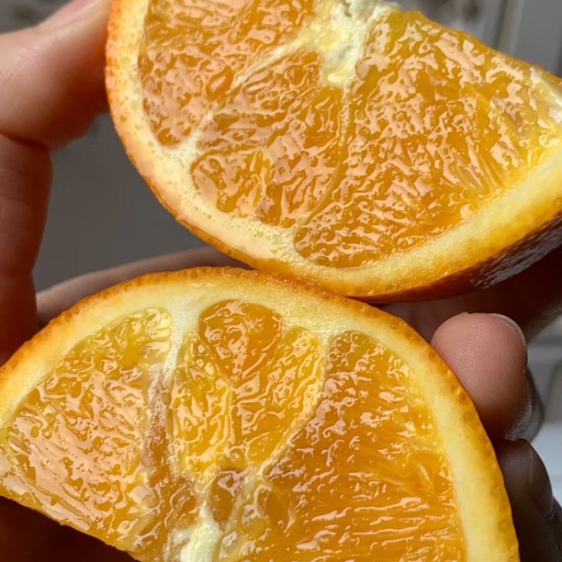 鲜果城堡伦晚脐橙正式开始发货支持一件代发