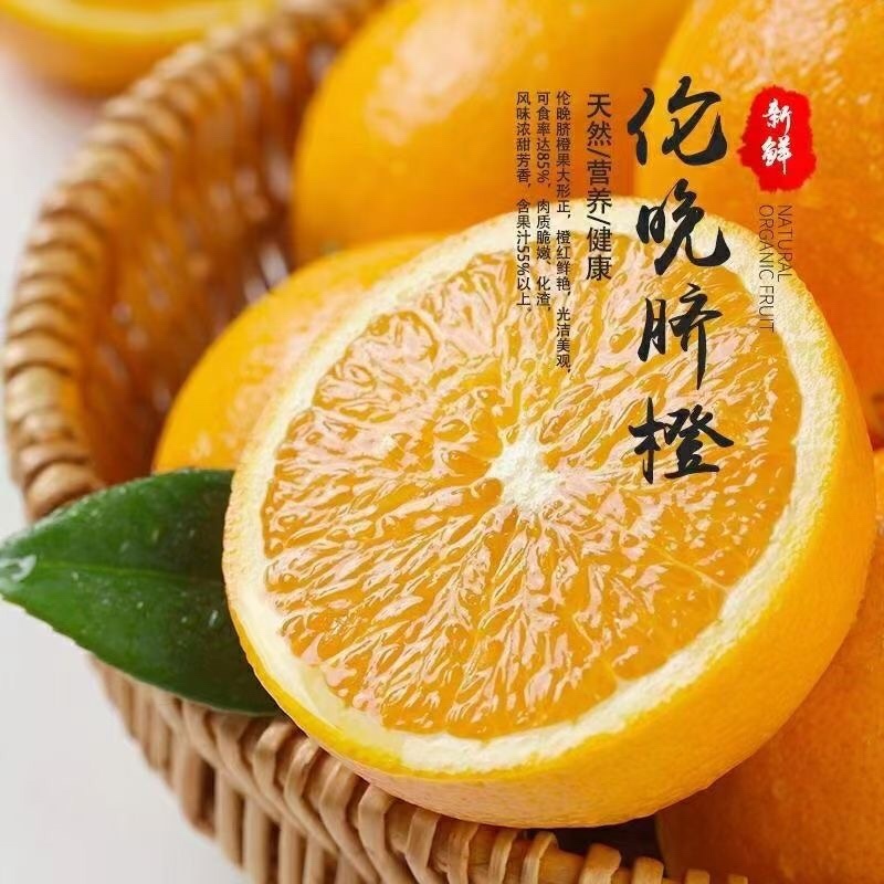 鲜果城堡伦晚脐橙正式开始发货支持一件代发