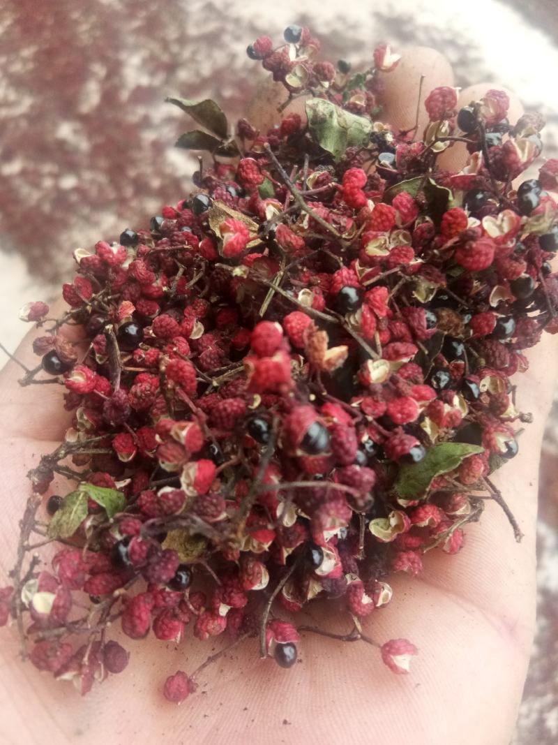 汉源贡椒，有2000多年的上贡历史！汉源花椒麻味浓。