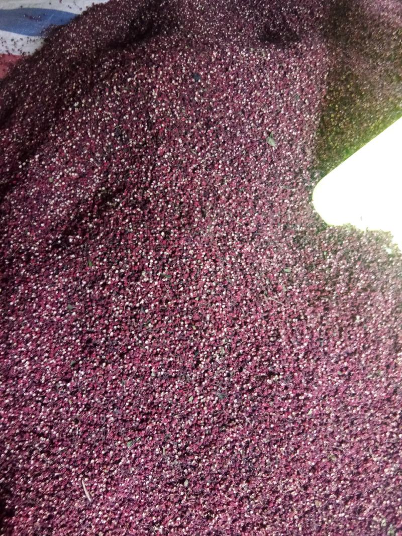 汉源贡椒，有2000多年的上贡历史！汉源花椒麻味浓。
