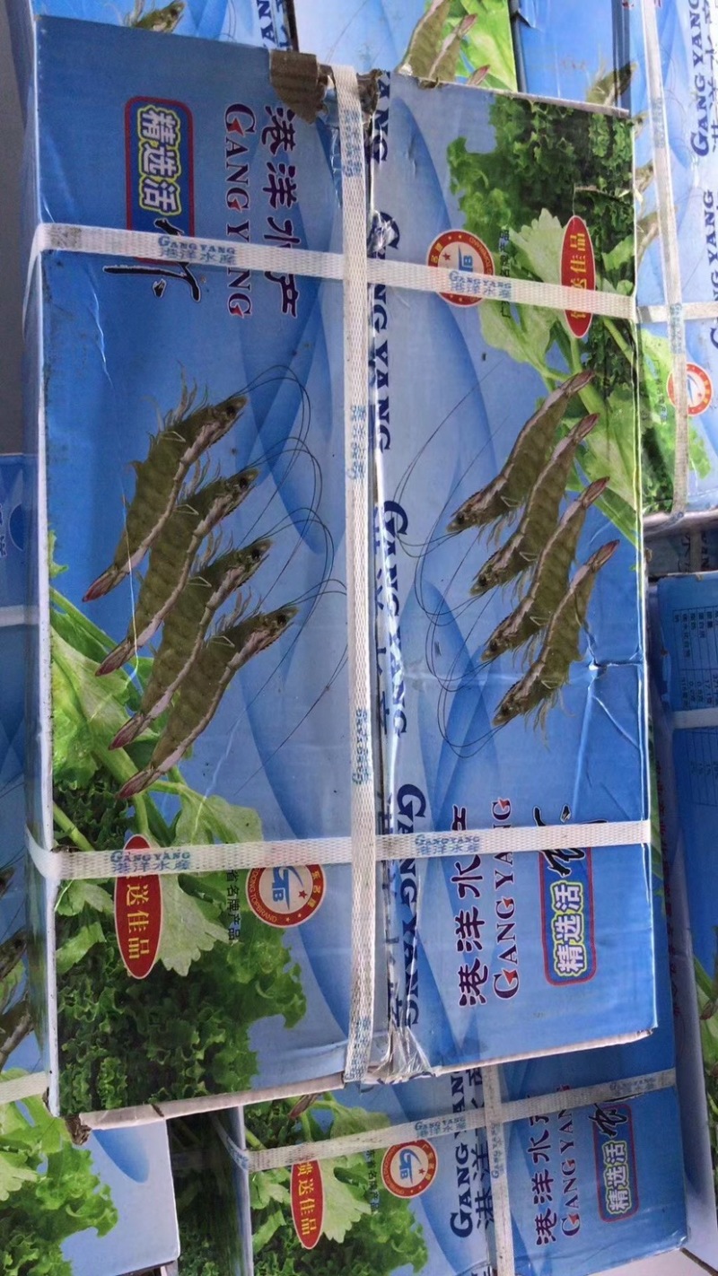 港洋彩盒国产虾40-50大虾🦐