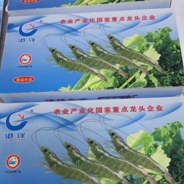 港洋彩盒国产虾40-50大虾🦐
