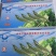港洋彩盒国产虾40-50大虾🦐