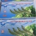 港洋彩盒国产虾40-50大虾🦐