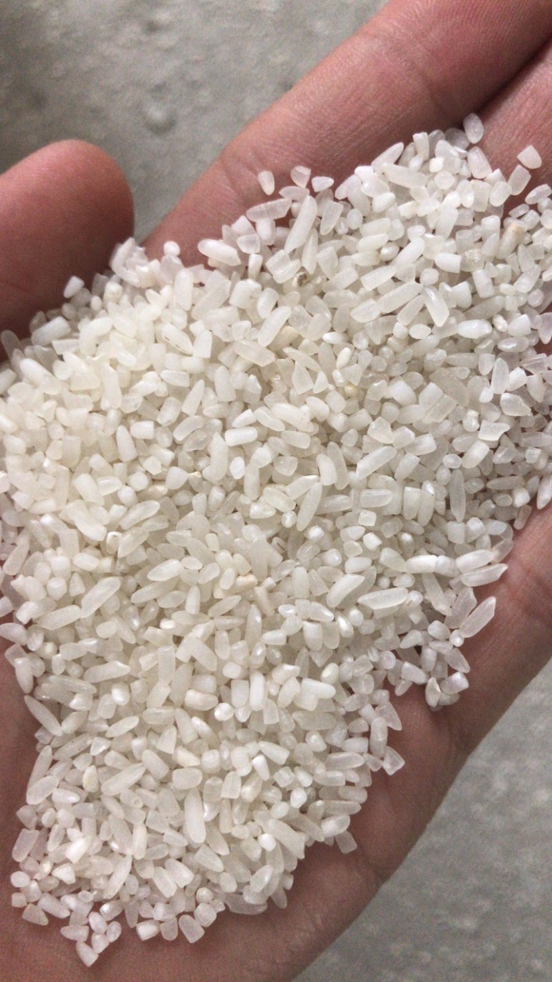 做米线，做粉，碎米，做米线碎米，做粉大量有货