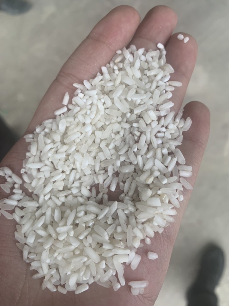 做米线，做粉，碎米，做米线碎米，做粉大量有货