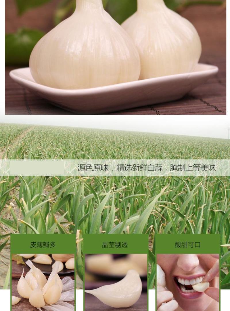 【一件代发】糖蒜头糖醋蒜甜蒜头泡大蒜头新鲜大蒜腌蒜头包邮