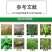 仲丁灵棉花田西瓜田苗后封闲除草剂烟抑芽剂