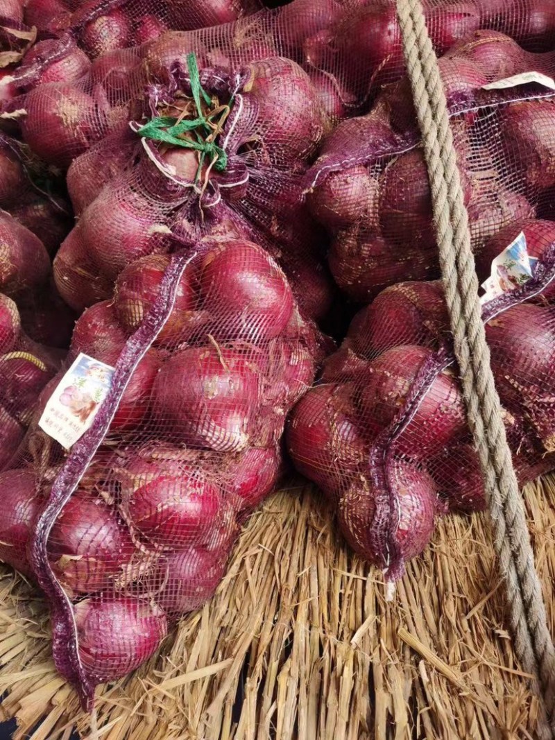 洋葱紫皮洋葱精品市场食堂加工厂一手电商山东大个头产地平台