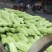 白玉苦瓜大量上市中货好新鲜大量上市中欢欢各位大佬前来考查