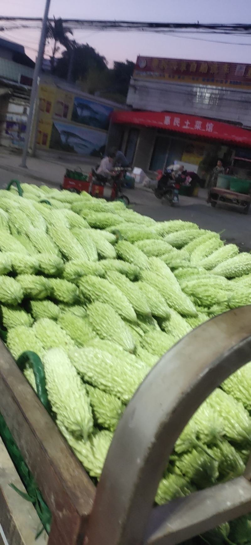 白玉苦瓜大量上市中货好新鲜大量上市中欢欢各位大佬前来考查