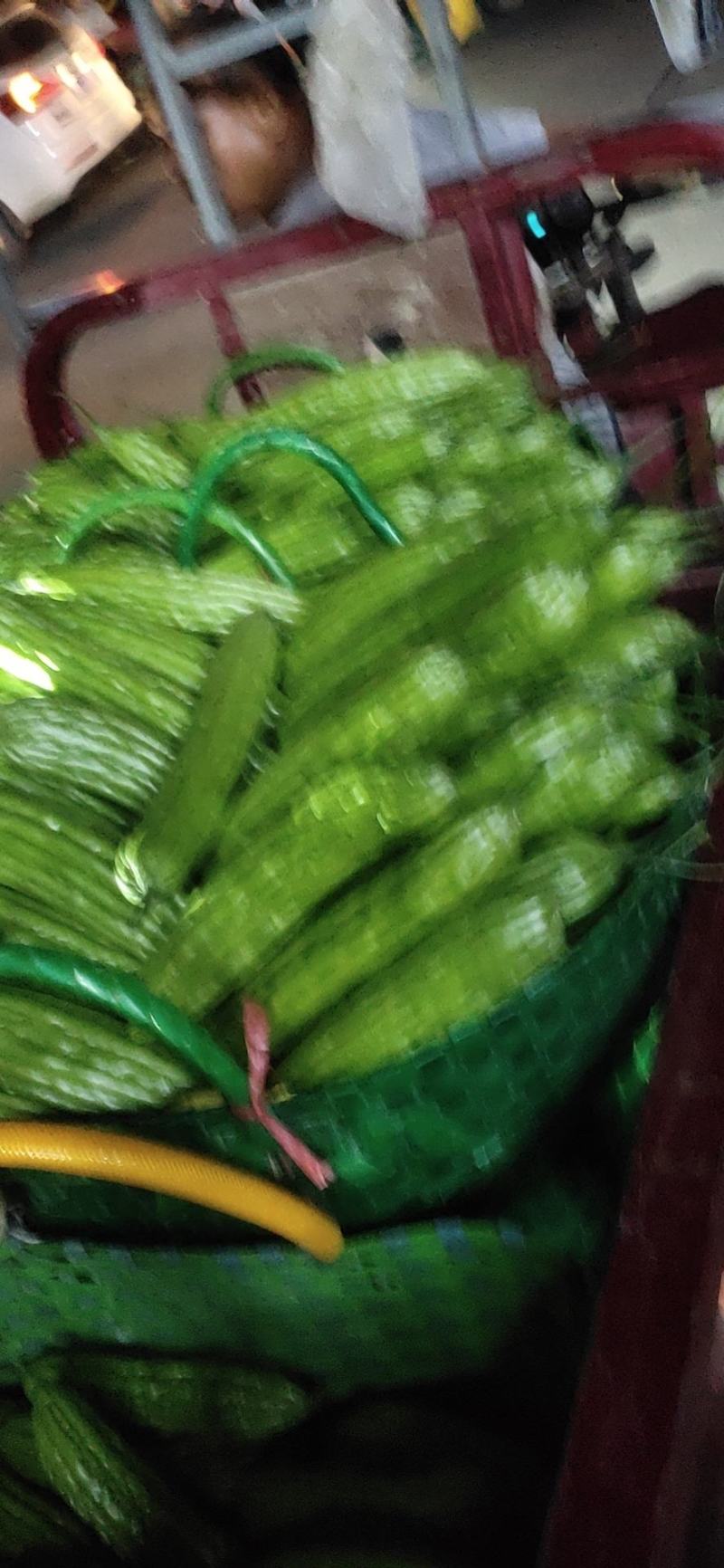 白玉苦瓜大量上市中货好新鲜大量上市中欢欢各位大佬前来考查