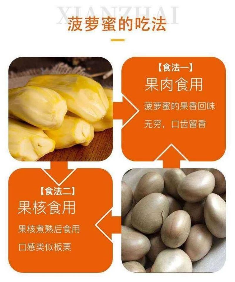 海南菠萝蜜包邮三亚青皮菠萝蜜干苞黄肉菠萝蜜一件代发招代理