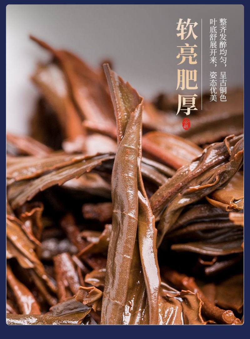 正山小种红茶特级茶叶正宗浓香型红茶叶高山红茶新茶茶园直