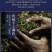 正山小种红茶特级茶叶正宗浓香型红茶叶高山红茶新茶茶园直