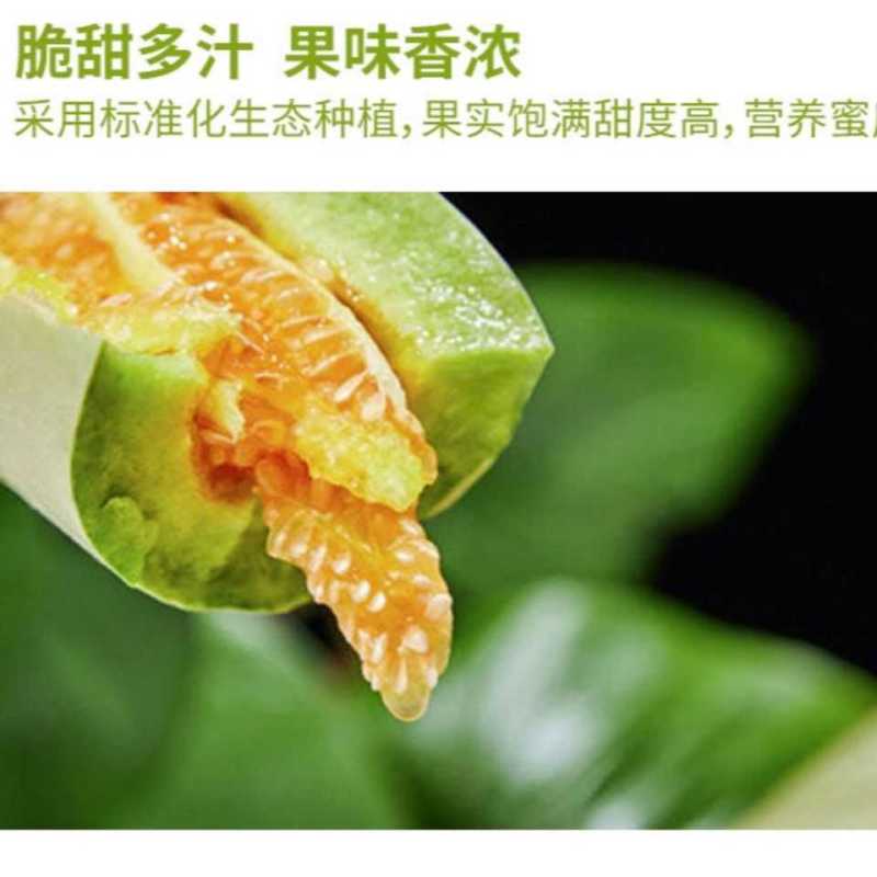 出售羊角蜜甜瓜脆瓜，支持一件代发，专业对接商超业务包售后