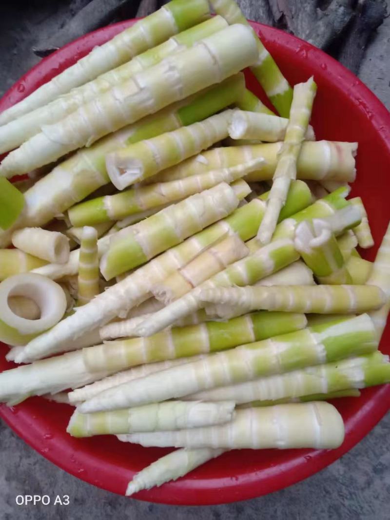 大自然的福利是赐人们美味