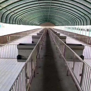 专业生产各类种植大棚骨架养殖钢架大棚骨架全国发货