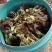 苦碟子，苦菜，小苦菜，苦麻子，东北特产，山野菜