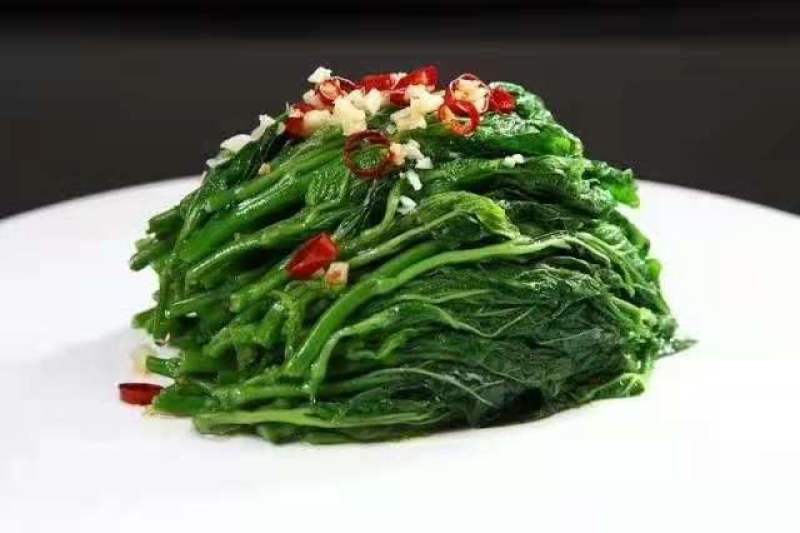 广东桑芽菜西安直接发