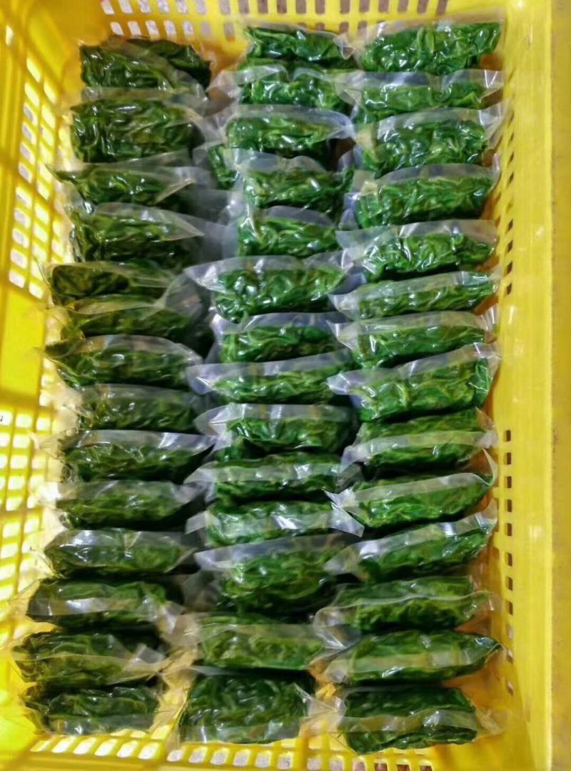 广东桑芽菜西安直接发