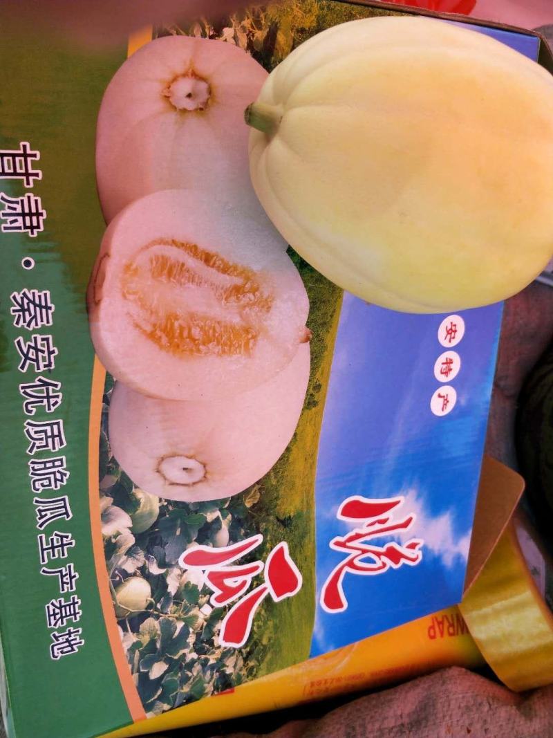 产地直销安家坪香瓜脆瓜甘肃省天水市秦安县（精品水果）