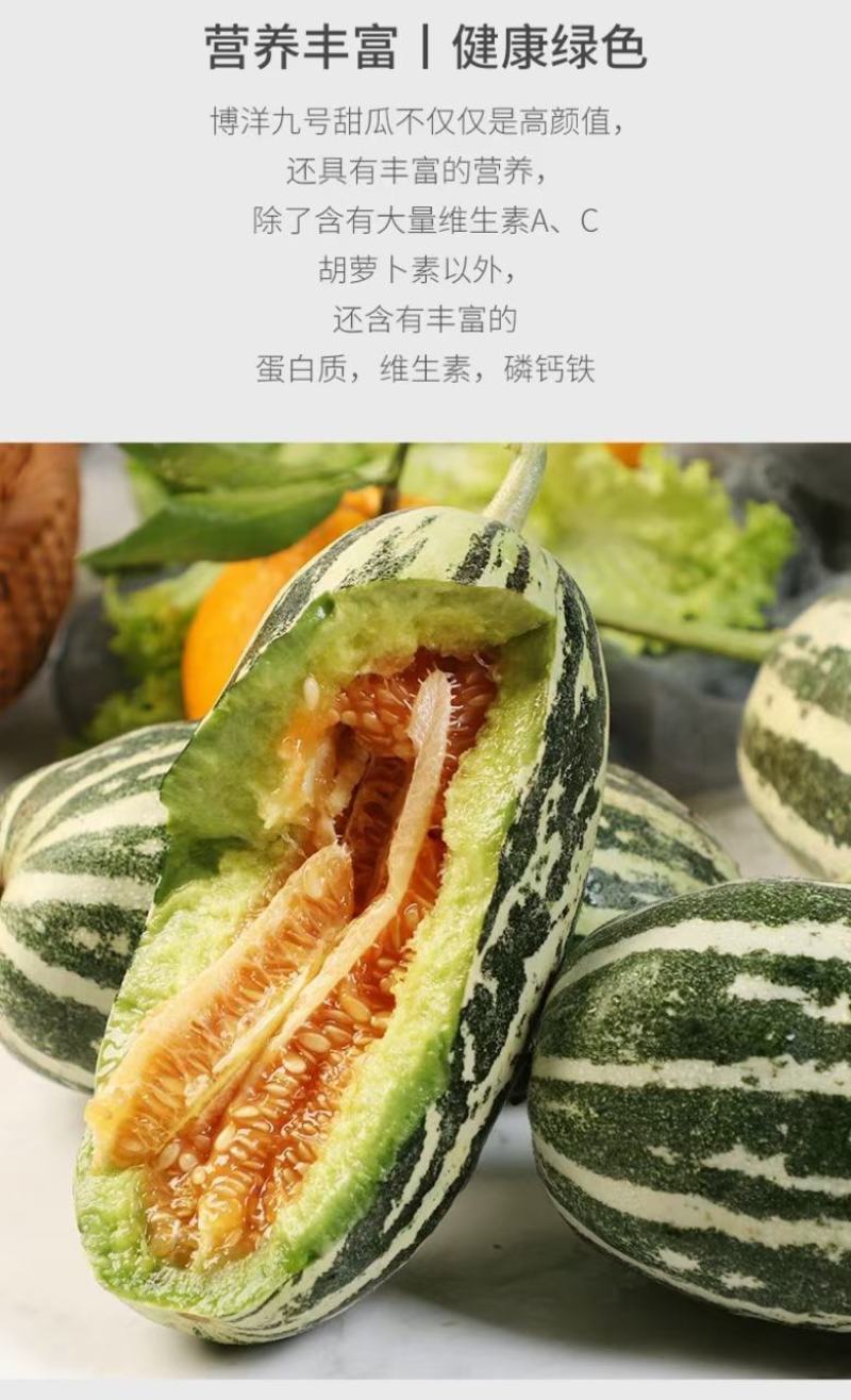 甜瓜，博洋九号，口感脆甜，爽囗
