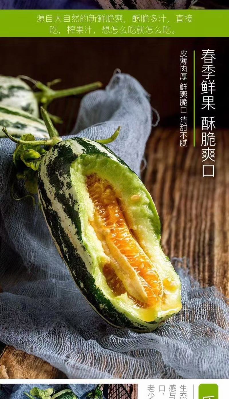 甜瓜，博洋九号，口感脆甜，爽囗