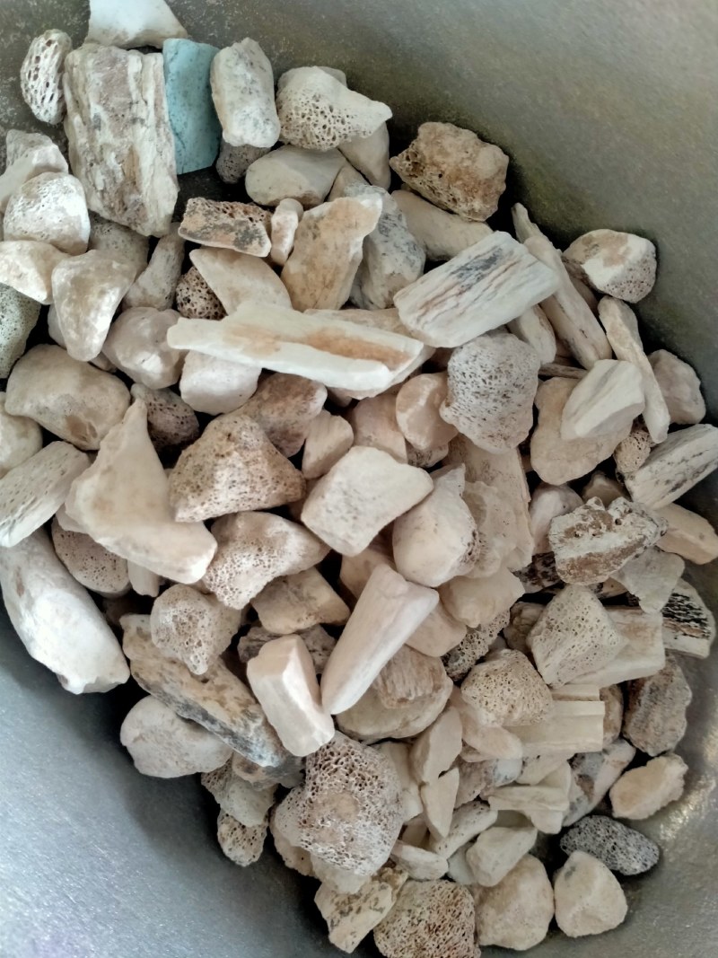 龙骨丶煅龙骨保真正品！一手货源！价格低！