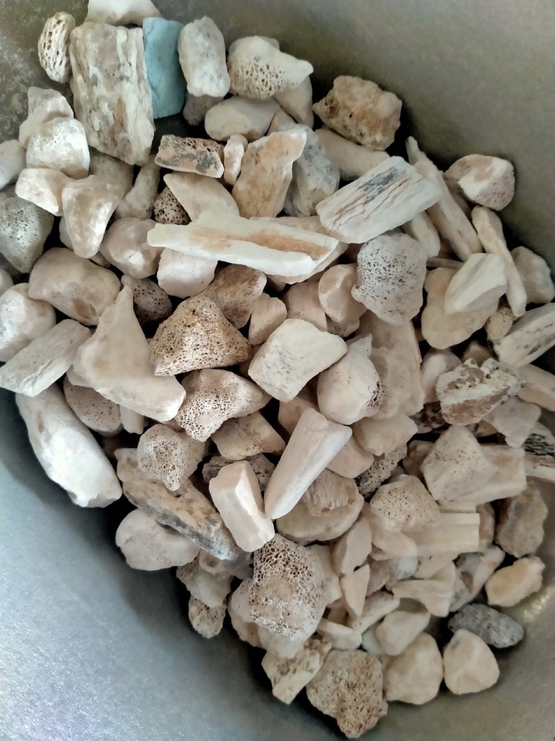 龙骨丶煅龙骨保真正品！一手货源！价格低！