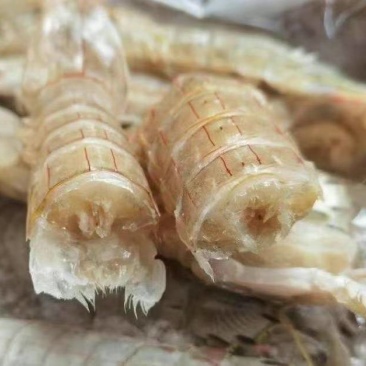 速冻皮皮虾低价甩卖处理