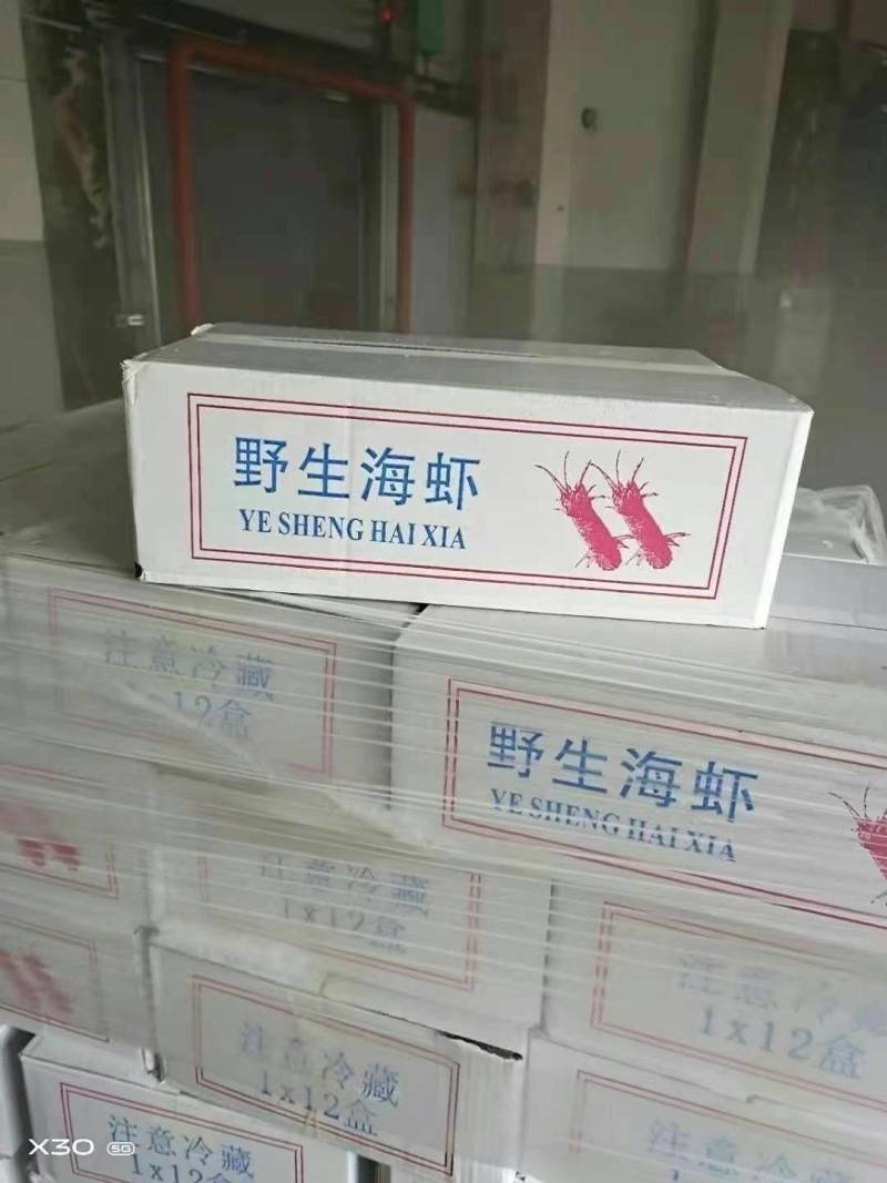 速冻皮皮虾低价甩卖处理