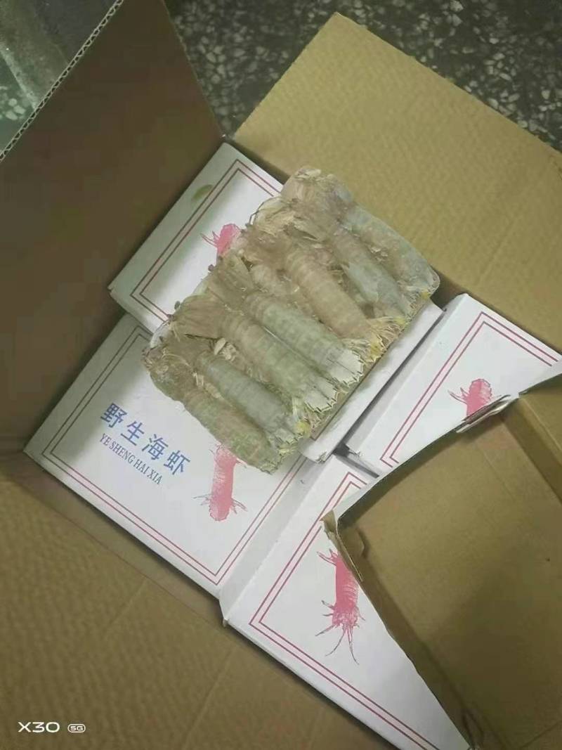 速冻皮皮虾低价甩卖处理